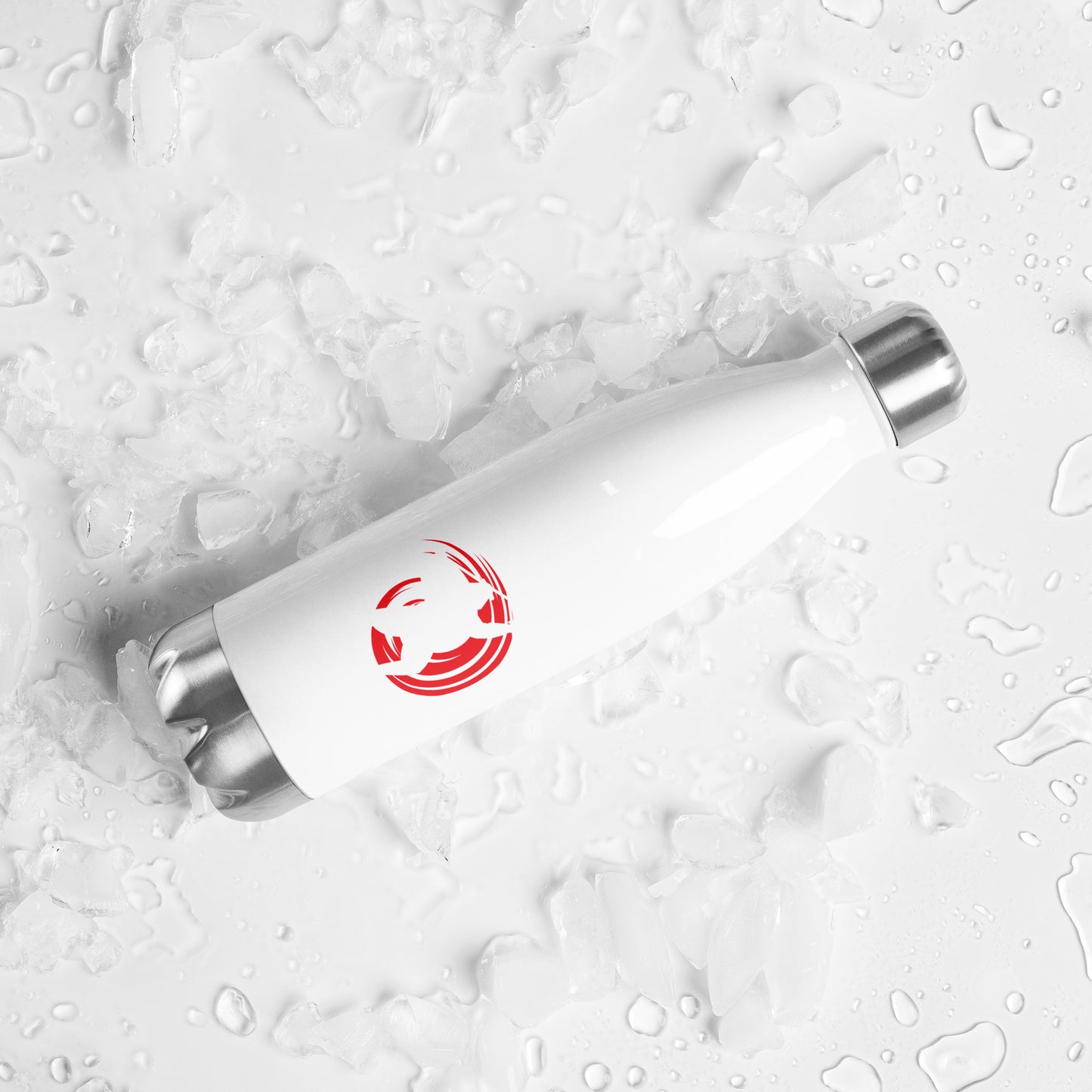 BIM Manager - Ninja Stainless steel water bottle